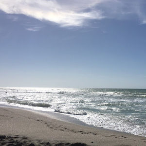 Meet your Posher, Max